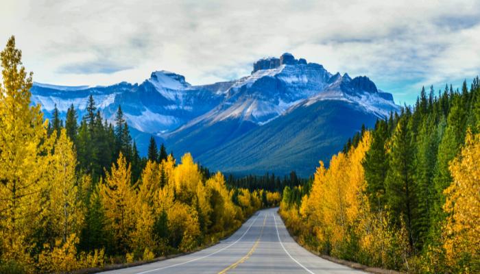 Donde estudiar en Canadá