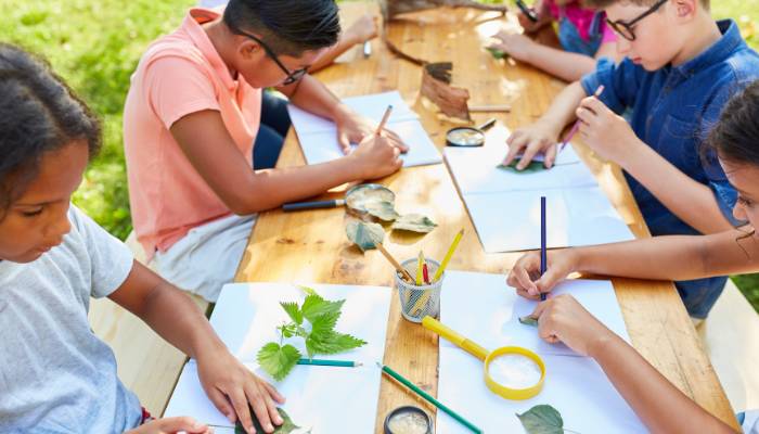 Summer camps