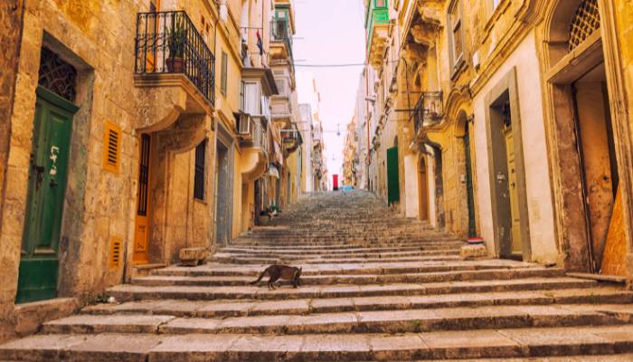 Programas para estudiar en Malta