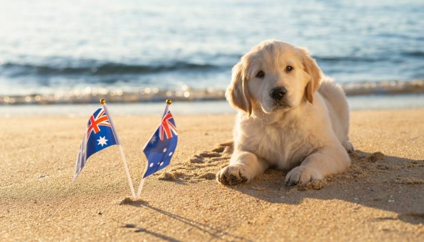 Consejos para elegir el programa ideal en Australia